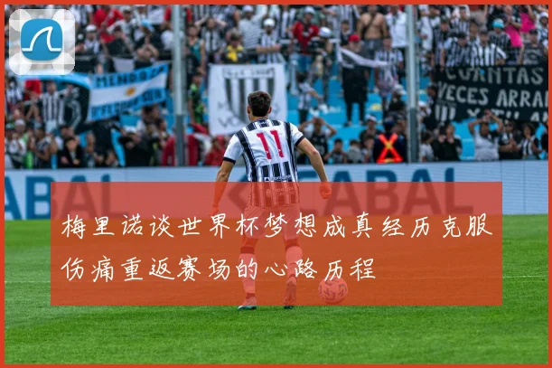 梅里诺谈世界杯梦想成真经历克服伤痛重返赛场的心路历程